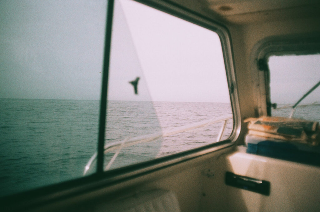 Agfa Optima 100