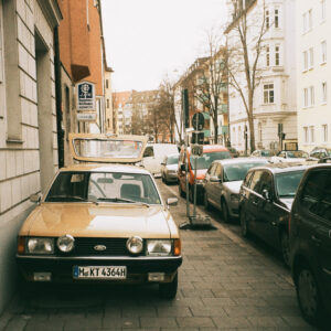 Agfa Optima 100 film simulation